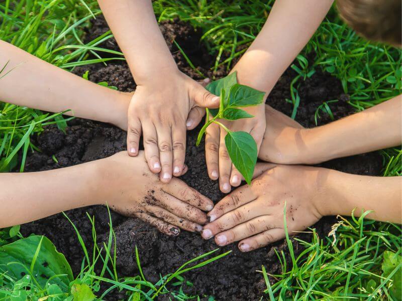 Diseño sin título (9) (1).jpg__PID:4e043101-e527-423f-a138-3c93a1a2582a